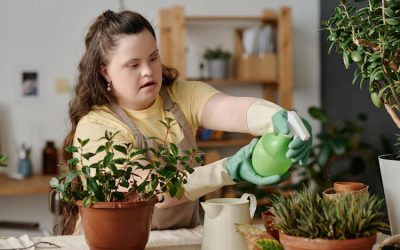 NDIS Accommodation services Yarragon