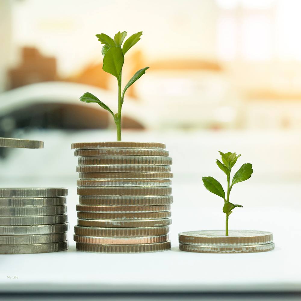 Supported Independent Living Picture My Life 4